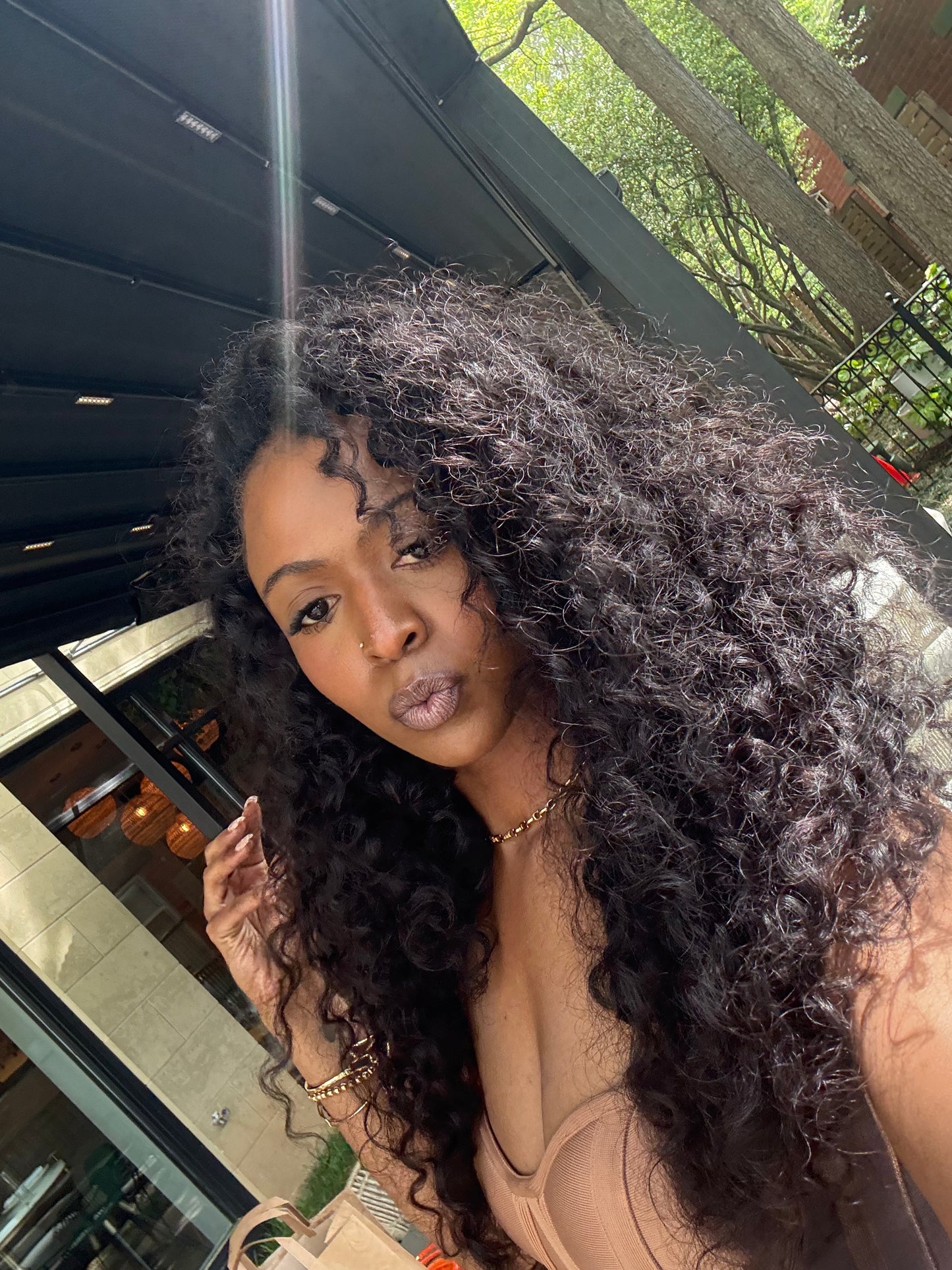 Burmese Curly 3 BUNDLE DEALS